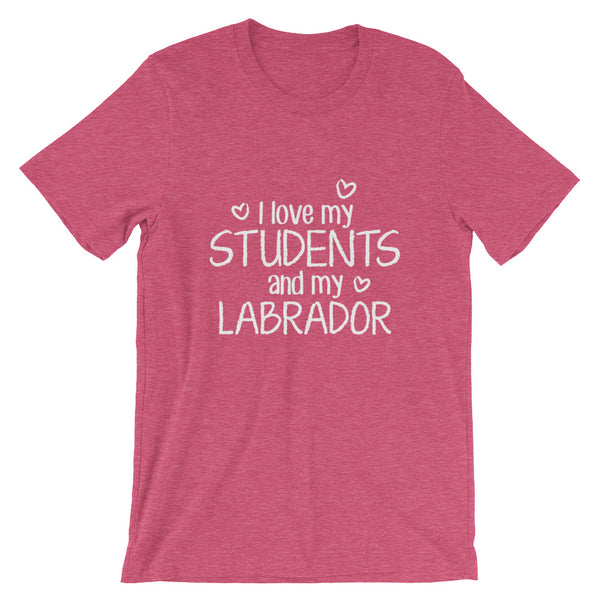 I Love My Students and My Labrador Shirt